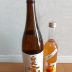 守屋大志の家飲み