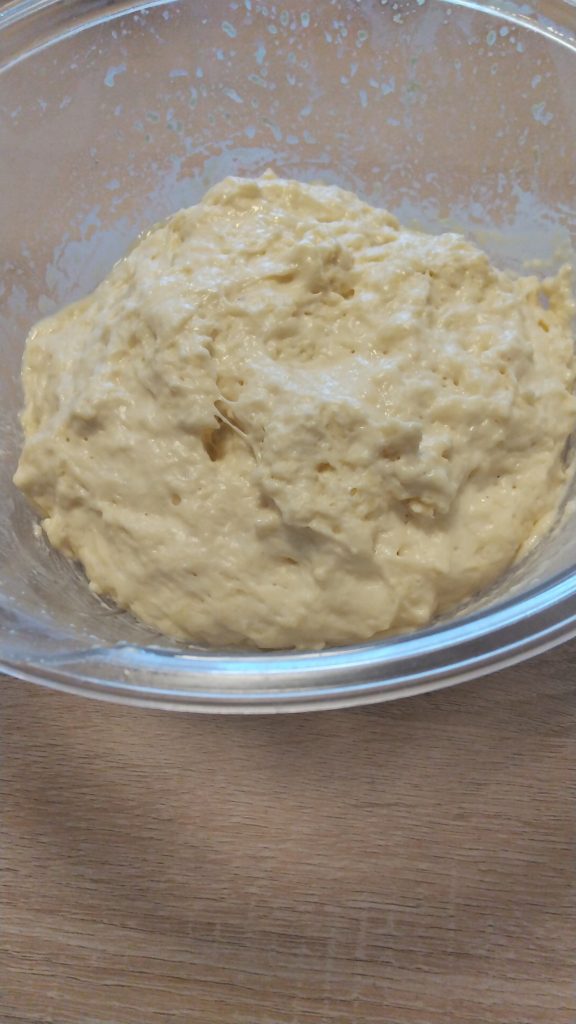 守屋大志のパン発酵後