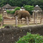 守屋大志の多摩動物公園