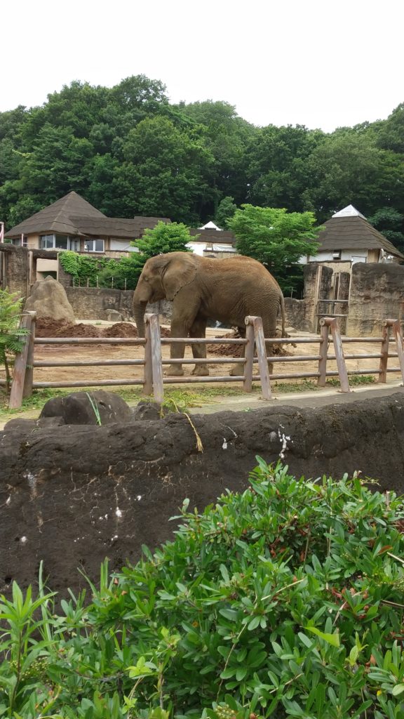 守屋大志の多摩動物公園
