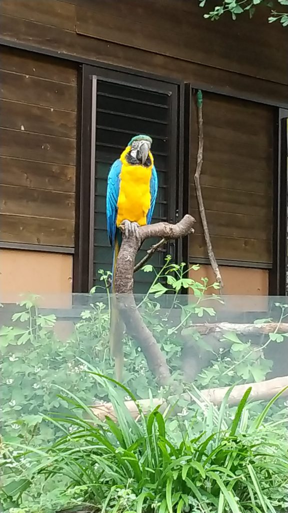 守屋大志の多摩動物公園