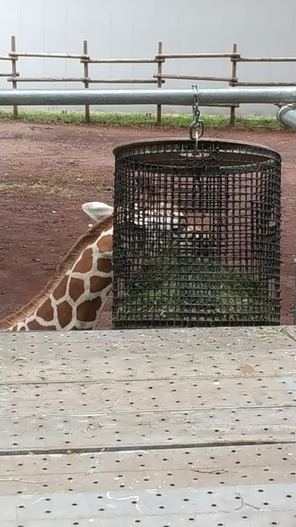 守屋大志の多摩動物公園