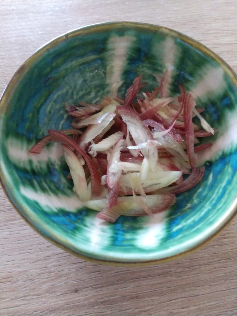 守屋大志のみょうが